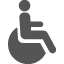 Disabled Access